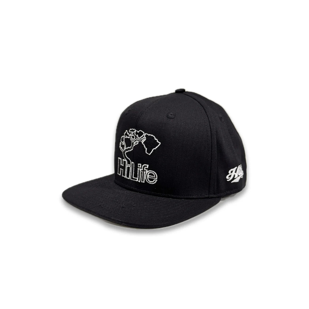 BASIC LOGO Snapback hats Black/White (hilife)