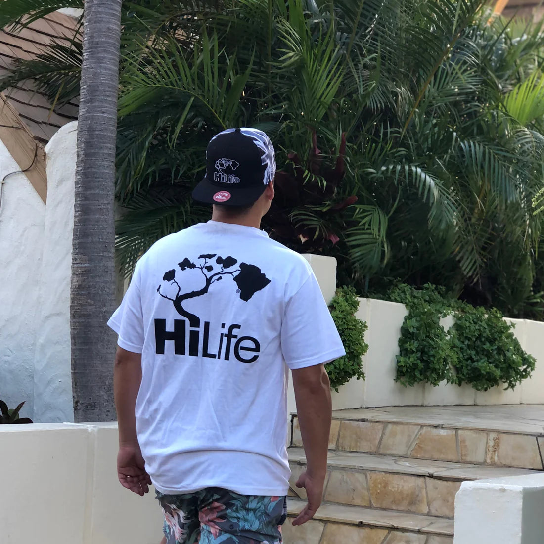 New Big Logo