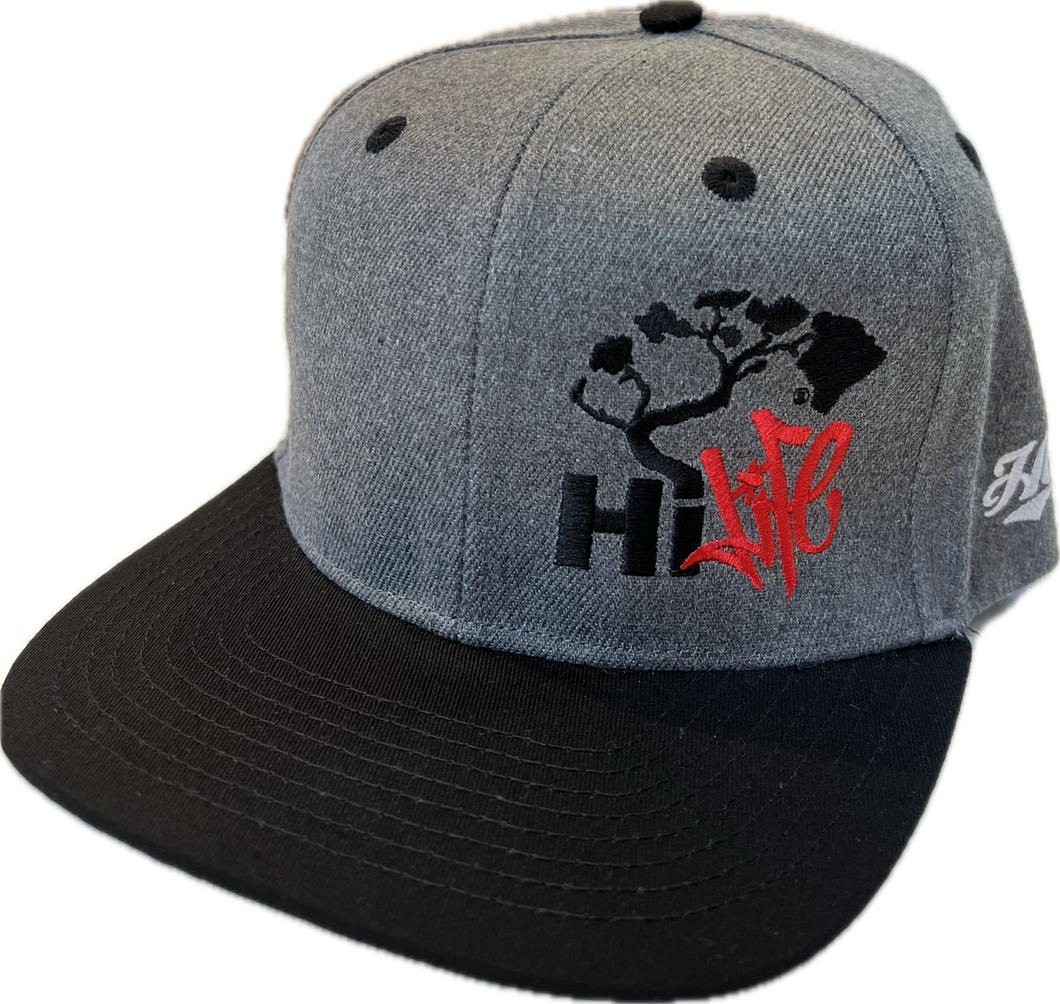 Hapa Snapback hats Dark Heather/Black Bill (hilife)