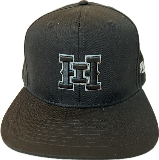 HI 3D logo Snapback hats Black (hilife)
