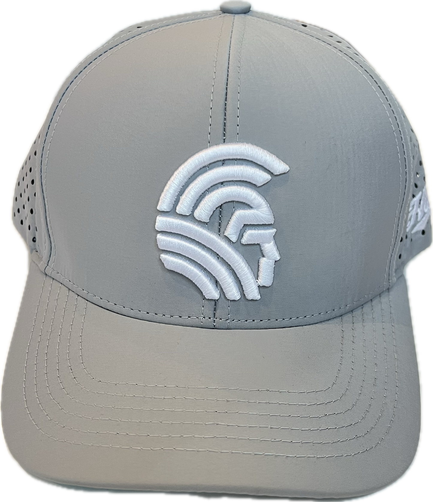 3D Warrior Snapback hats the Waterman(hilife)