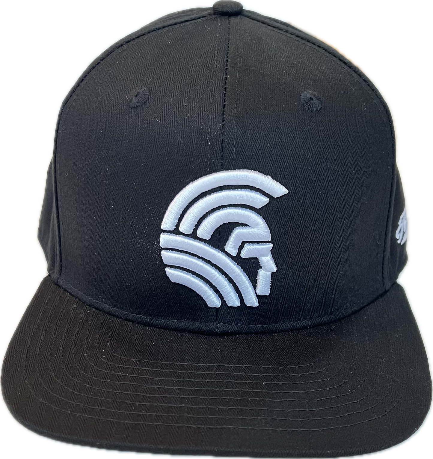 3D Warrior  Snapback Black(hilife)