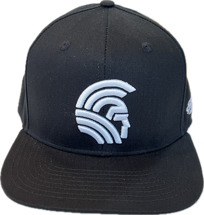 3D Warrior  Snapback Black(hilife)