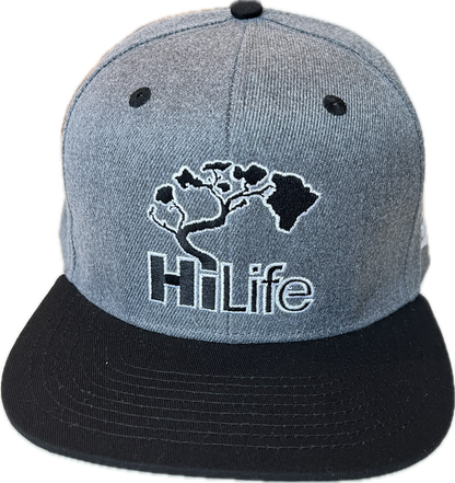 BASIC LOGO Snapback hats Heather Gray (hilife)