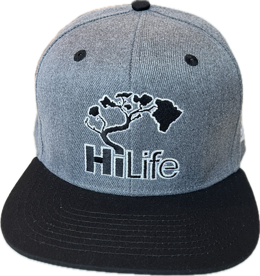 BASIC LOGO Snapback hats Heather Gray (hilife)