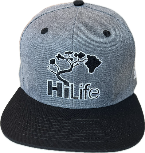 BASIC LOGO Snapback hats Heather Gray (hilife)
