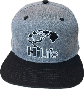 BASIC LOGO Snapback hats Heather Gray (hilife)