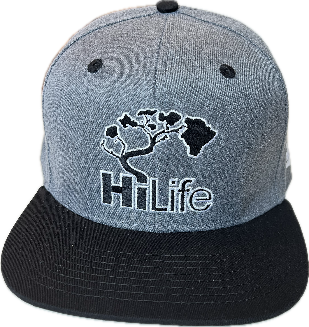 BASIC LOGO Snapback hats Heather Gray (hilife)