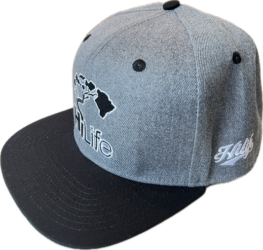 BASIC LOGO Snapback hats Heather Gray (hilife)