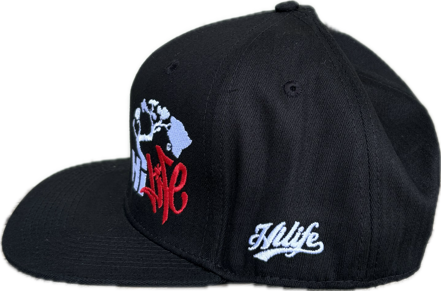 Hapa Snapback hats Black(hilife)