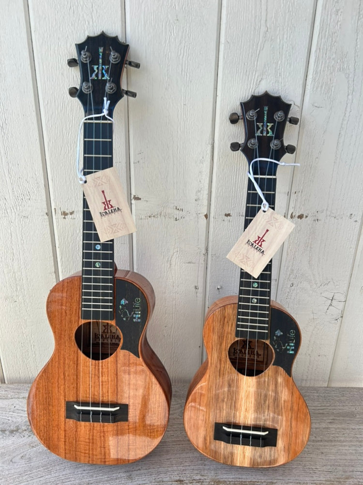 KoAloha × HiLife UKULELE ~CONCERT~
