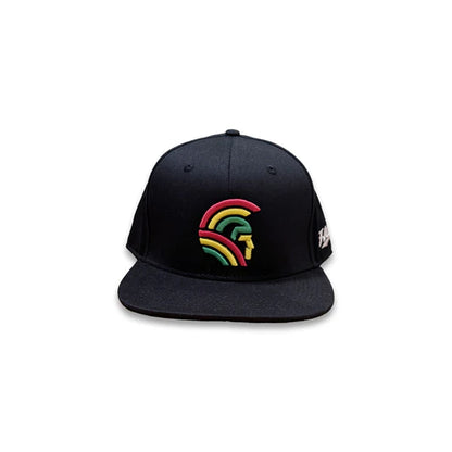 3D Warrior Tri-color Snapback hats Black (hilife)
