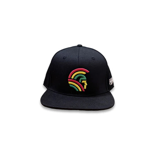 3D Warrior Tri-color Snapback hats Black (hilife)