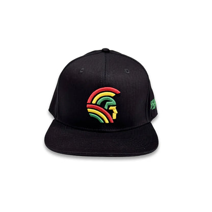 3D Warrior Tri-color Snapback hats Black (hilife)