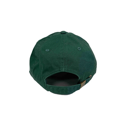 Cotton dad hats Pineapple